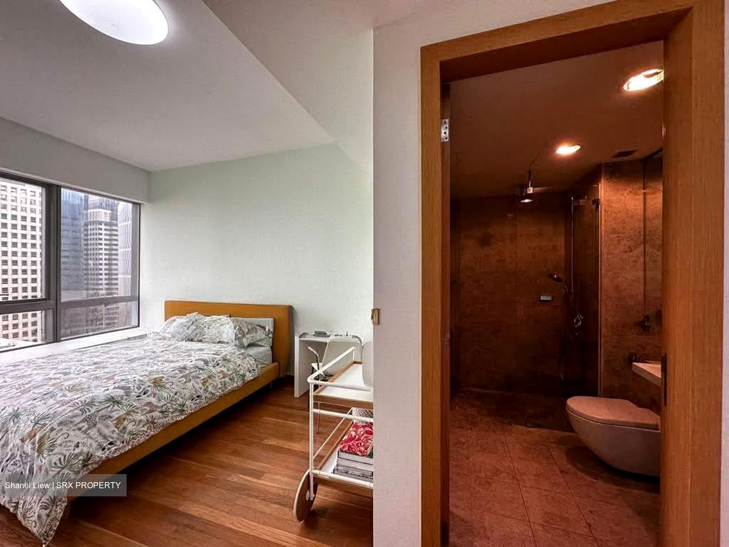 One Shenton (D1), Apartment #587280331